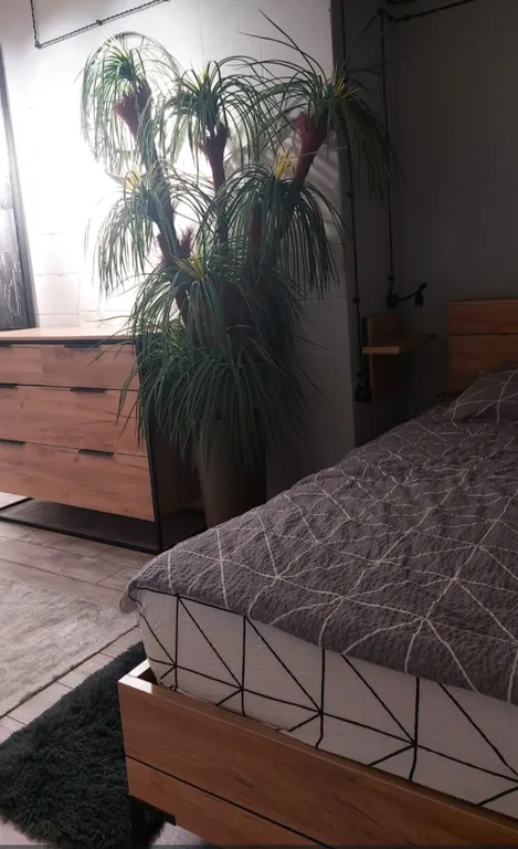 Прекрасные апартаменты люкс класса с видом на Джума мечеть