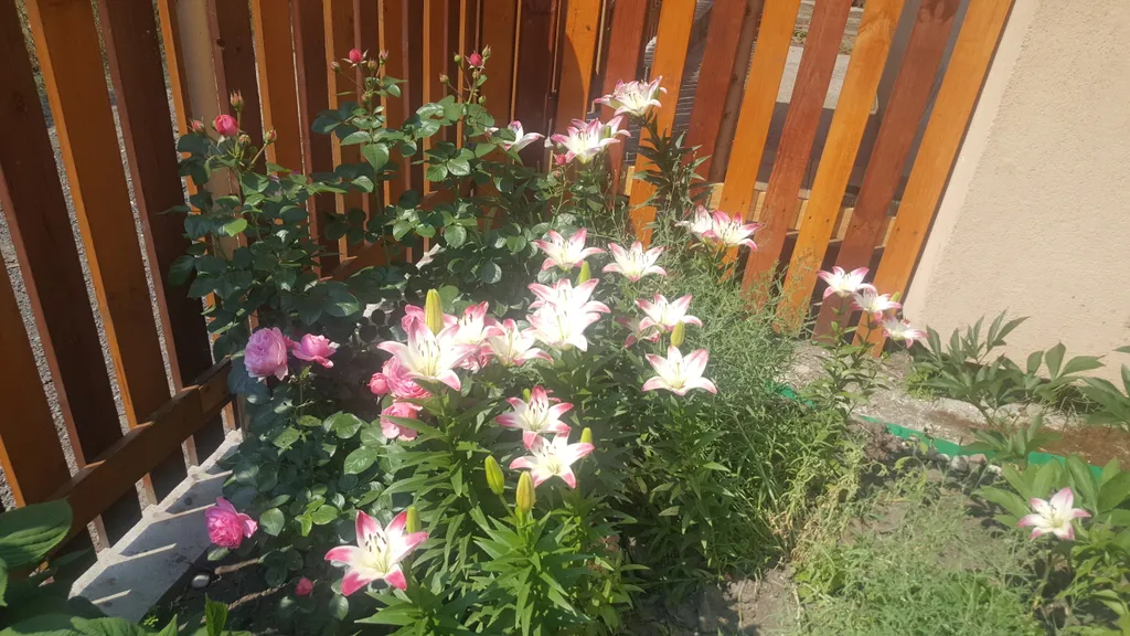 Коттедж Коттедж Уютные семейные апартаменты — Рыбачий