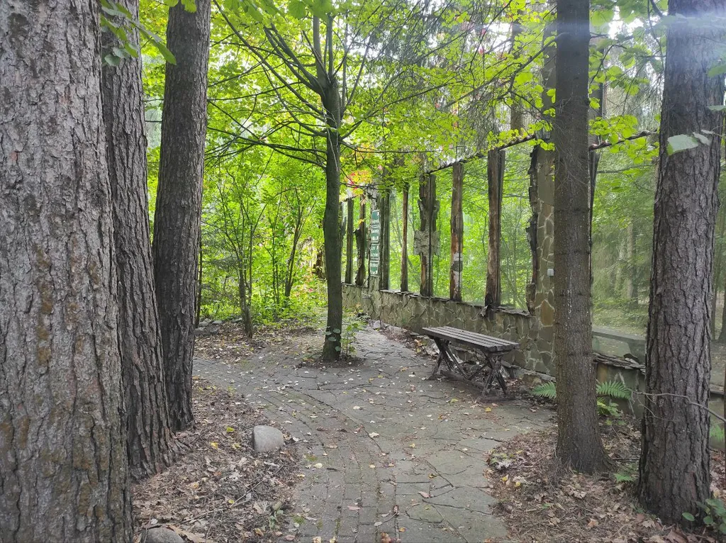 Коттедж Дом с тропическим бассейном, сауной и каминами — Московский