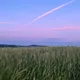 Лидия