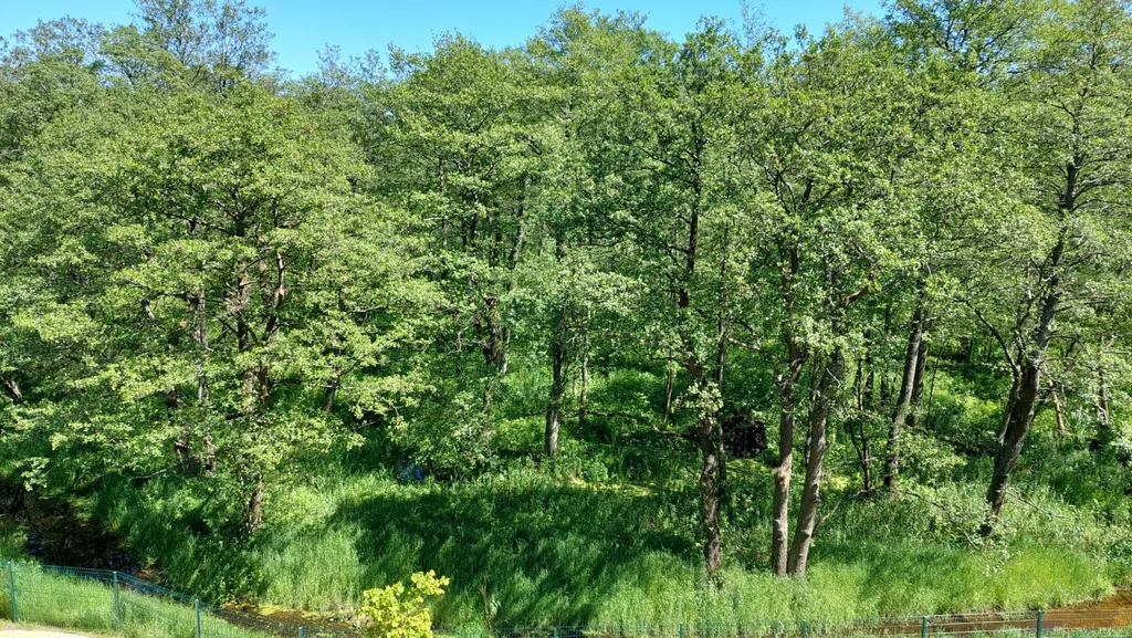 Квартира на побережье для отдыха от суеты