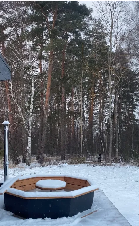 Дом с баней и Сибирским чаном у леса и озера