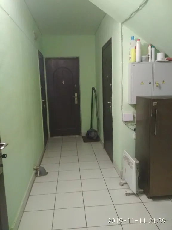 Большая студия для дружной компании с видом на сквер с белочками