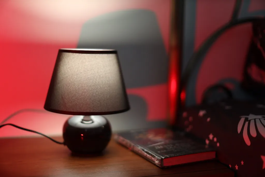 Уютная студия с видом на реку Иртыш