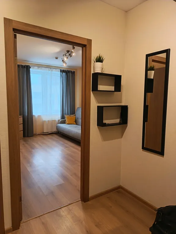 Квартира Однокомнатная квартира у НИИ Петрова — Песочный