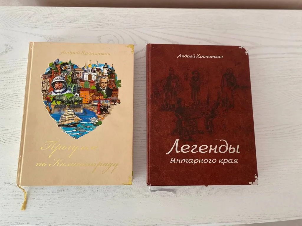 Квартира Уютная квартира у Южного вокзала с видом на Бранденбургские ворота — Калининград