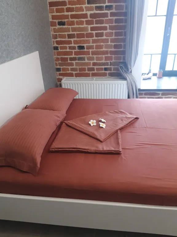 Квартира Исторические апартаменты Мельница у жд вокзала и Северного автовокзала — Екатеринбург