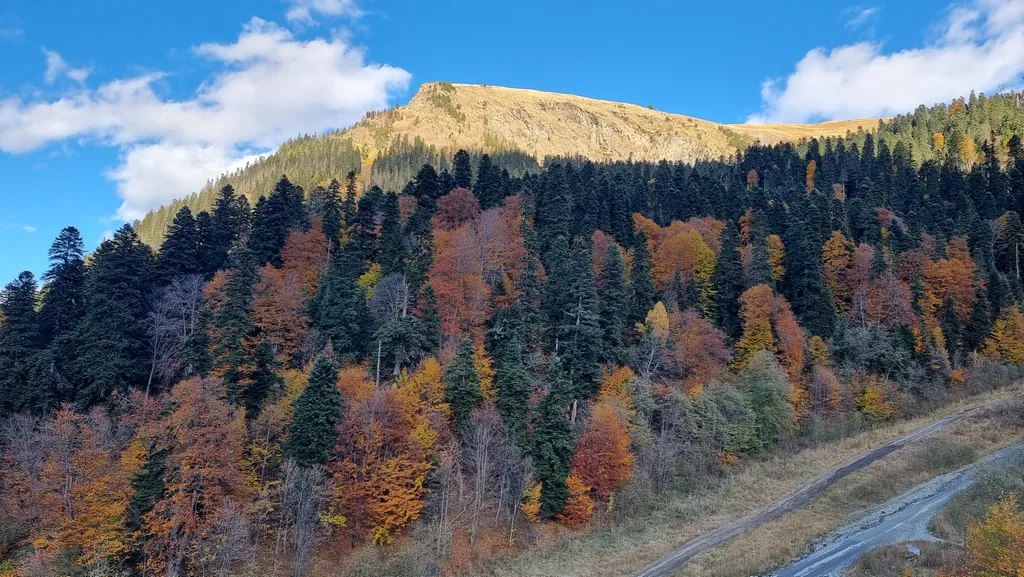 Апартамент с панорамными видами на горы