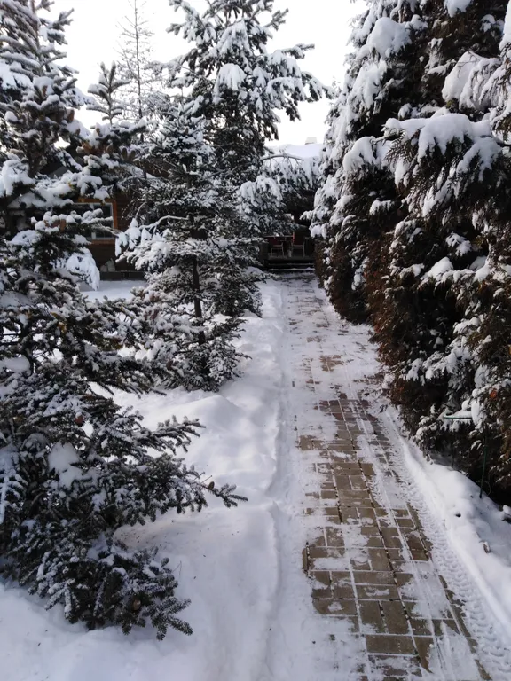 Дом - баня на берегу реки