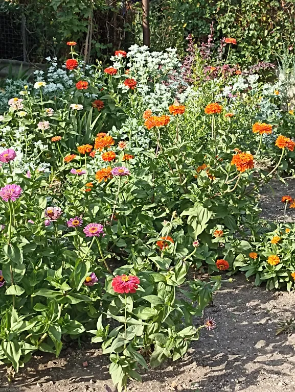 Дом для летнего отдыха