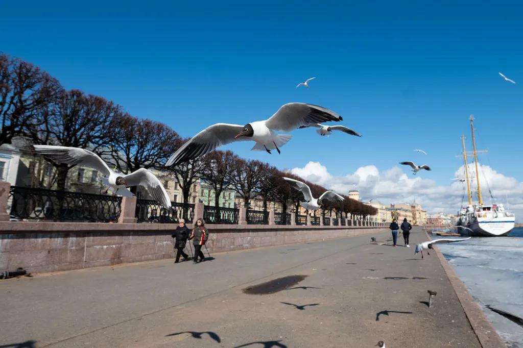 Квартира Квартира Art-room в центре Петербурга — Санкт-Петербург