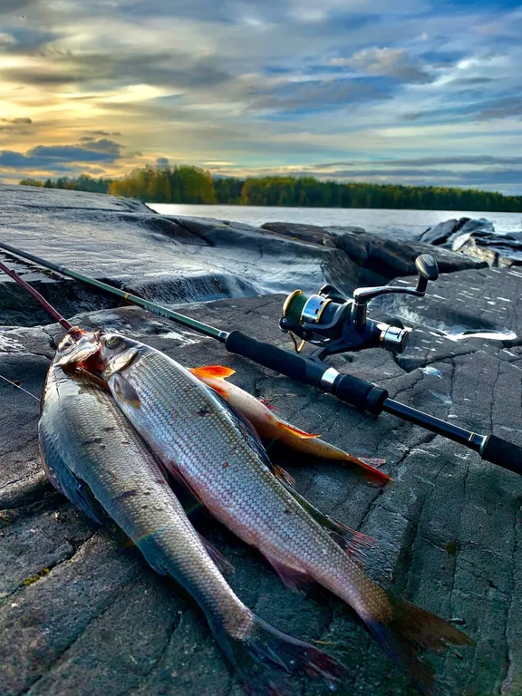 Коттедж Дом на скале — Мережнаволок