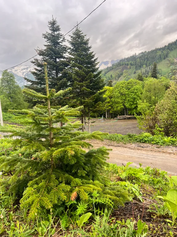 Новый дом с собственной территорией и видом на горы