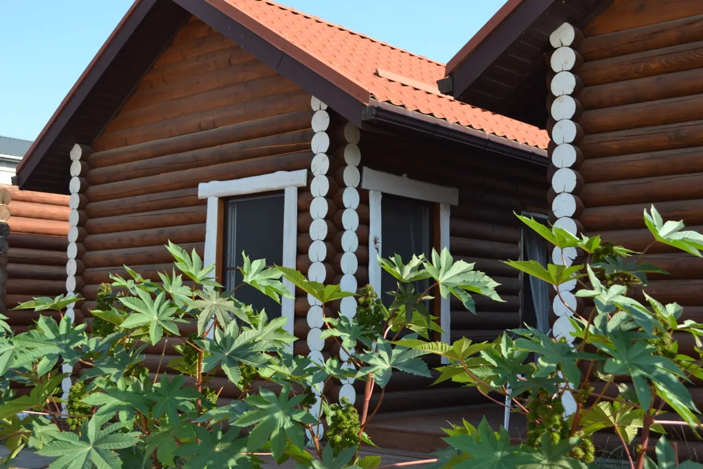 Коттедж 1-комнатный Дом — аренда посуточно в Благовещенская