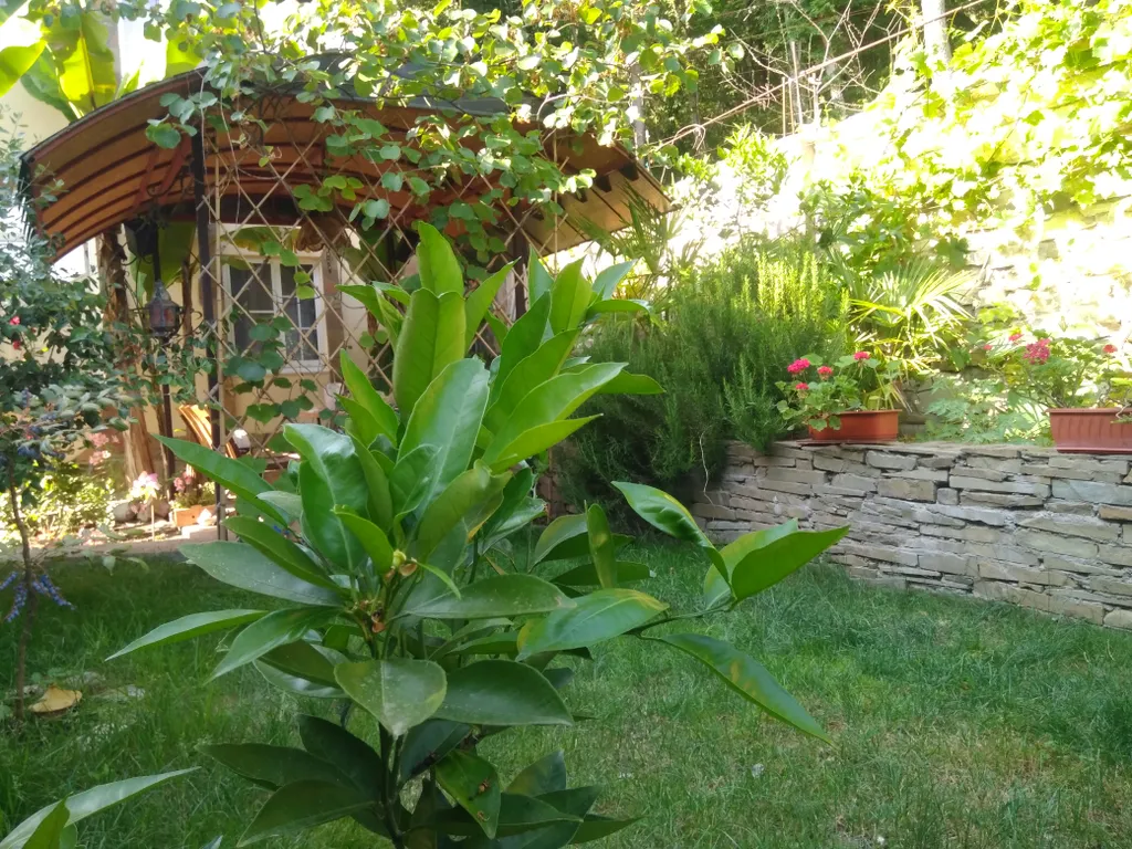 Вилла Море у леса