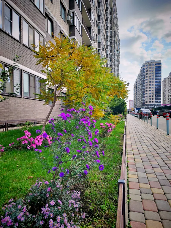 Квартира Квартира Уютная студия — Краснодар