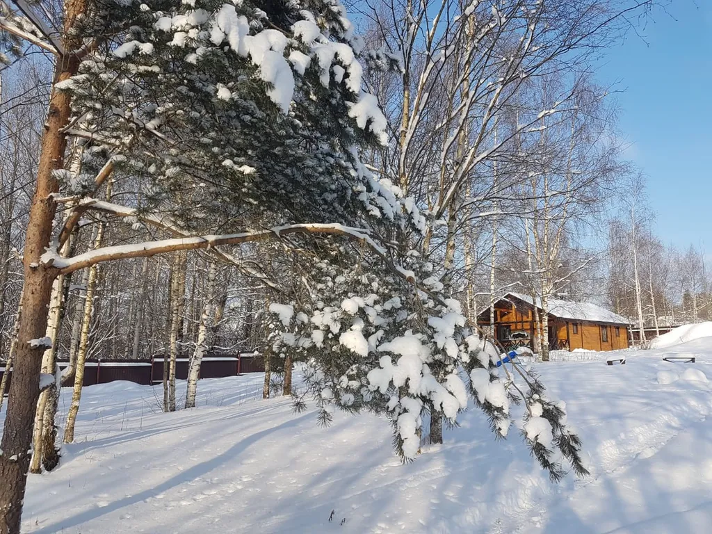 Коттедж Дом с камином, баней-сауной на дровах и купелью — Светлое