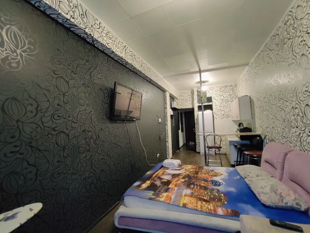 Студия около БСМП, вильского