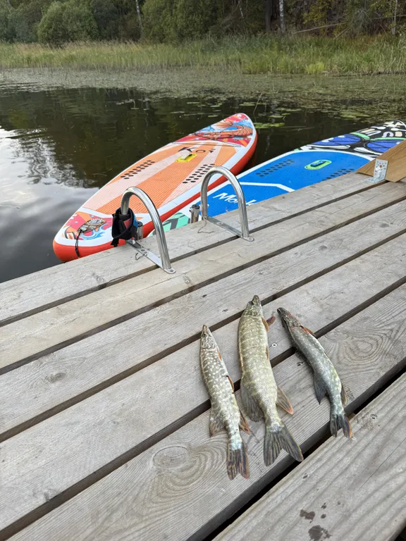 Дом на берегу залива Мусталанлахти