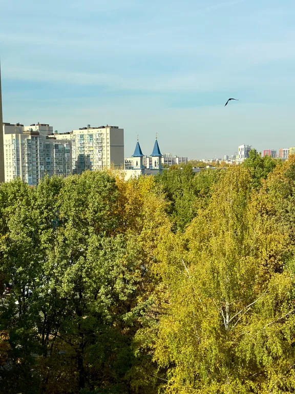 Уютная светлая квартира