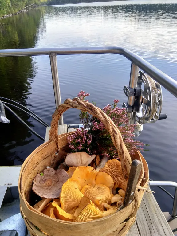 Уютный дом на Онежском озере