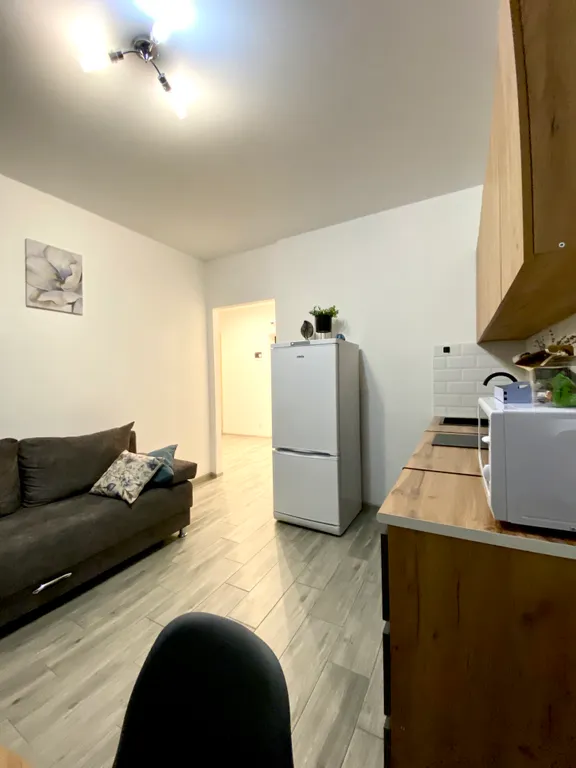 Большая, уютная квартира для отдыха в новом бизнес ЖК