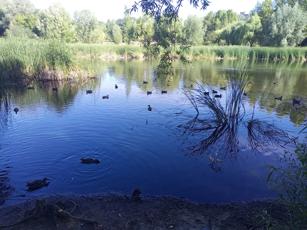 Уютная квартира в сердце города