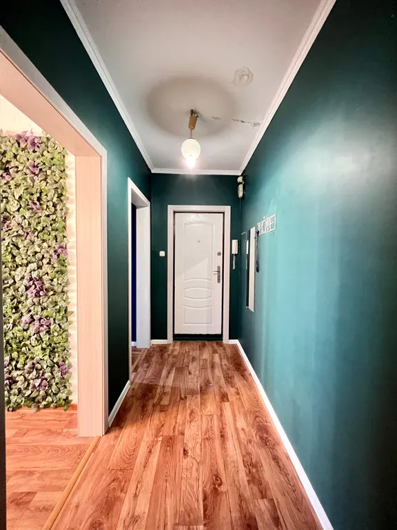 Grеen wood возле залива