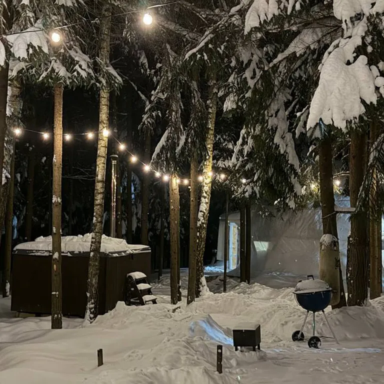 Дом для двоих в сосновом лесу