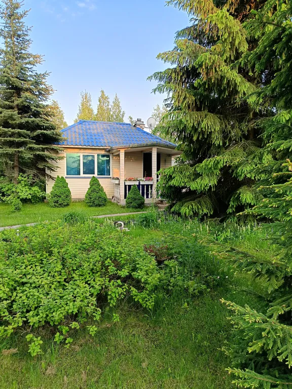 Коттедж Уютный загородный домик среди елок рядом с городом — Янино-1