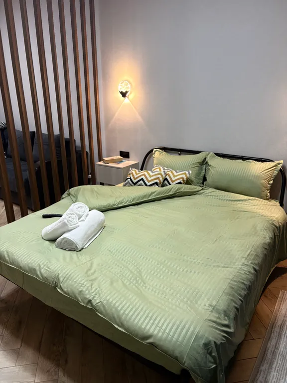 Современные апартаменты в центре города