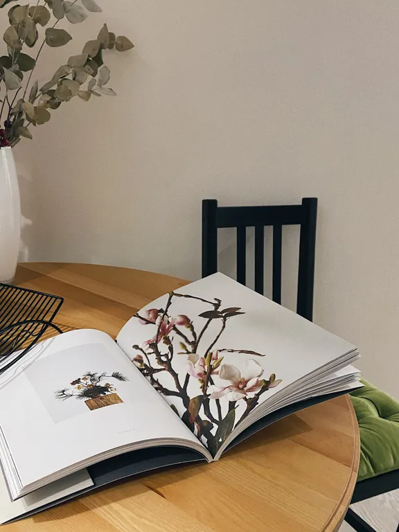 Квартира на Набережной Терека, у Мариинского театра