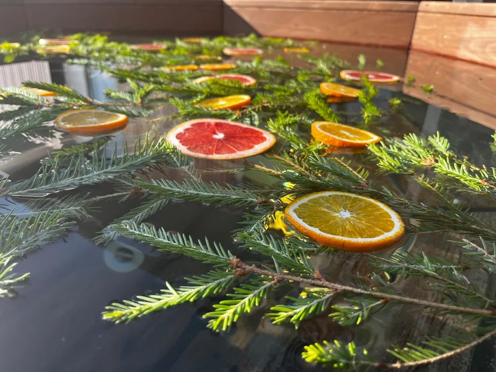 Семейный дом с чаном у леса, у нас есть баня.