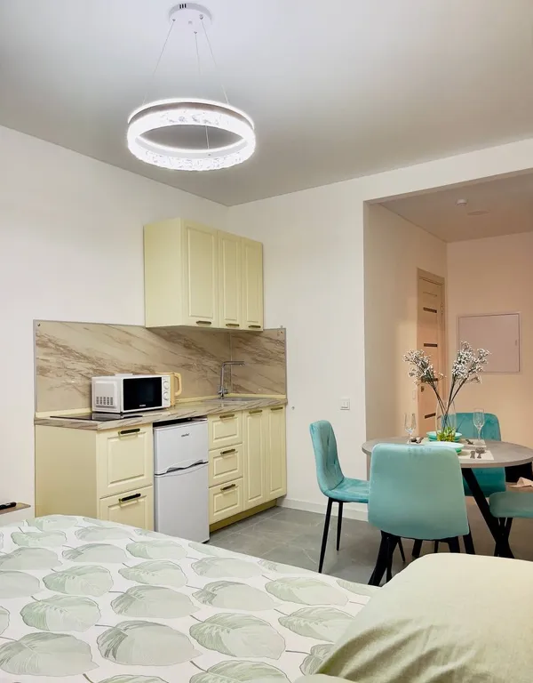 Студия рядом с Концертным залом