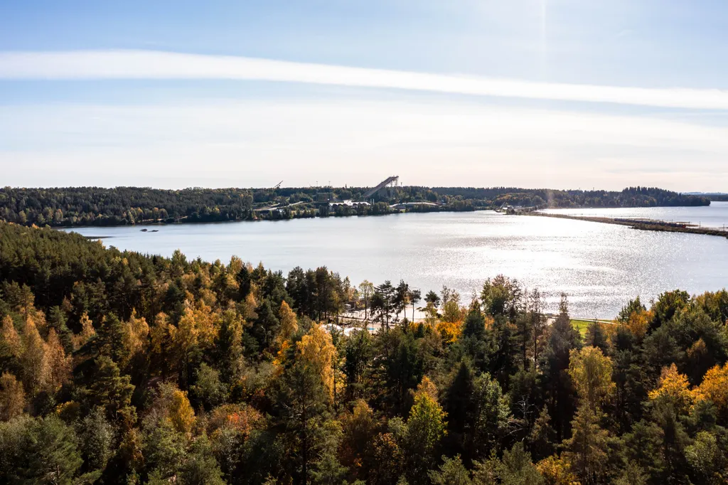 Дом с сауной и купелью