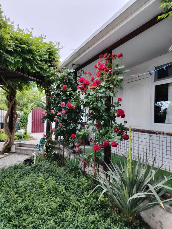 Квартира Комната в частном доме — Геленджик