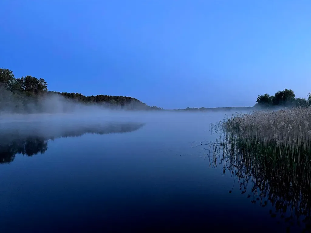 Большой дом для большой компании