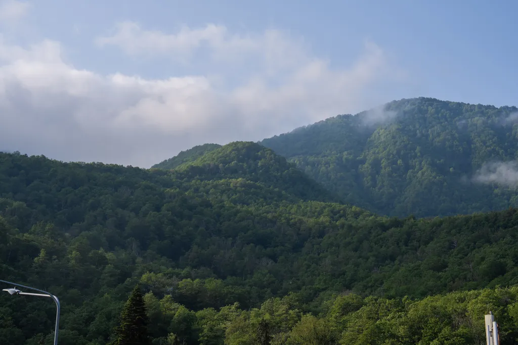 Green berg Апартамент