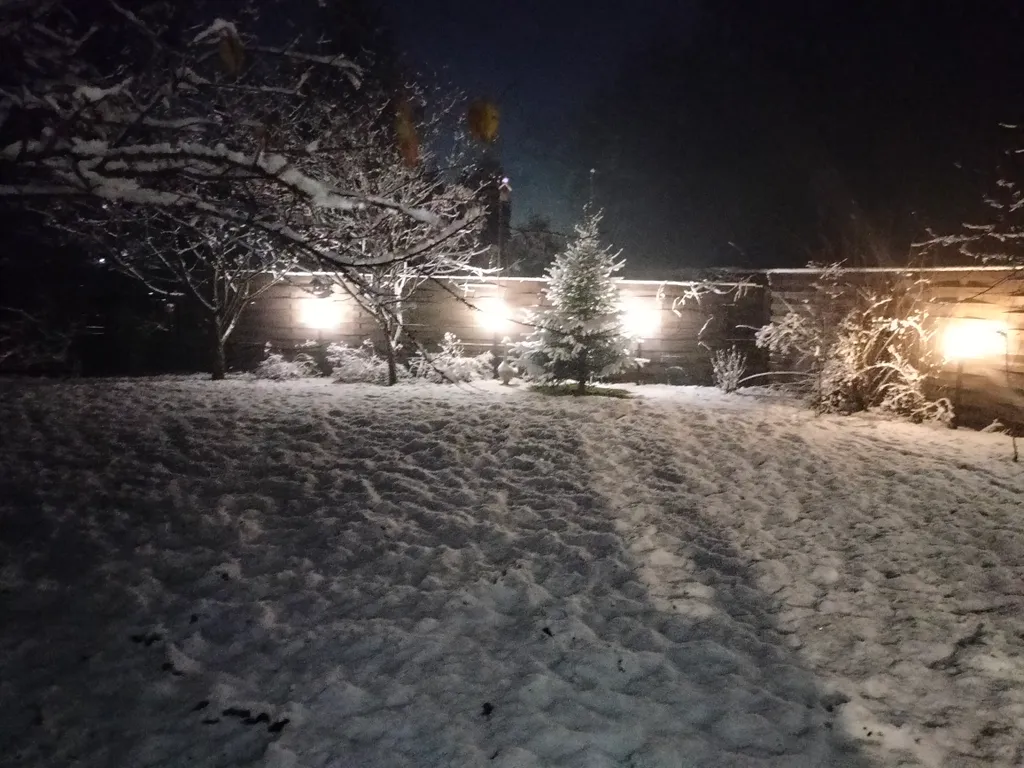 Уютный коттедж с дровяным камином, в окружении лесного массива