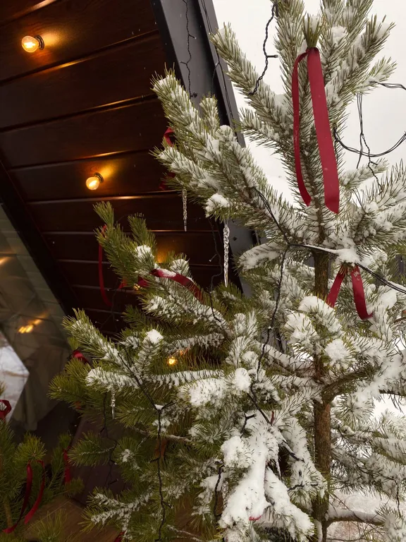 Треугольный домик рядом с Беловежской пущей