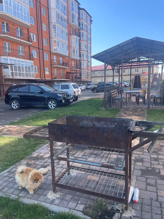 Просторная квартира с видовым балконом близ Питьевой Галереи Санатории