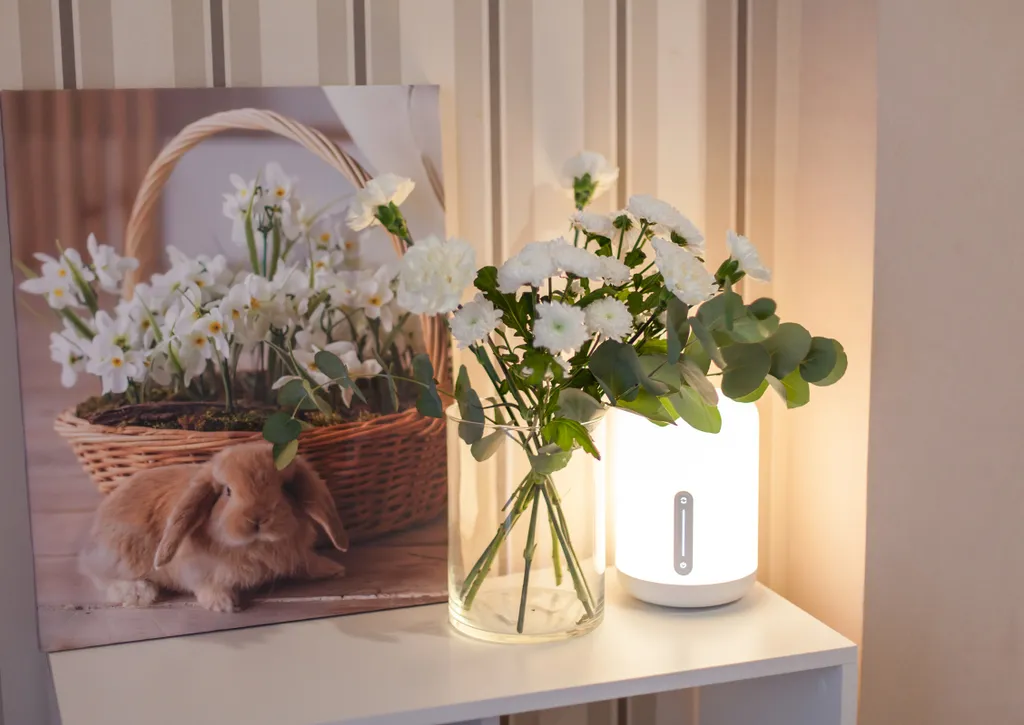 Orchid classic apartment Zelenogradsk center