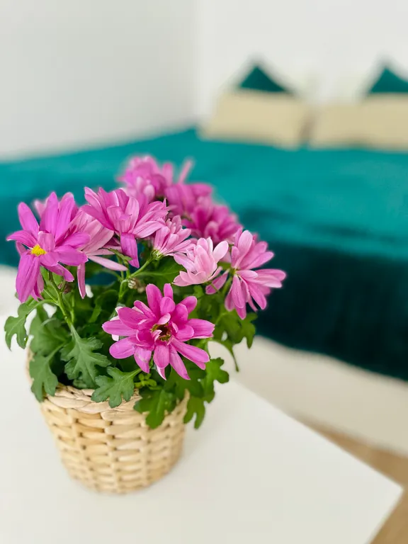 Квартира Изумруд Великого Новгорода — аренда посуточно в Великий Новгород