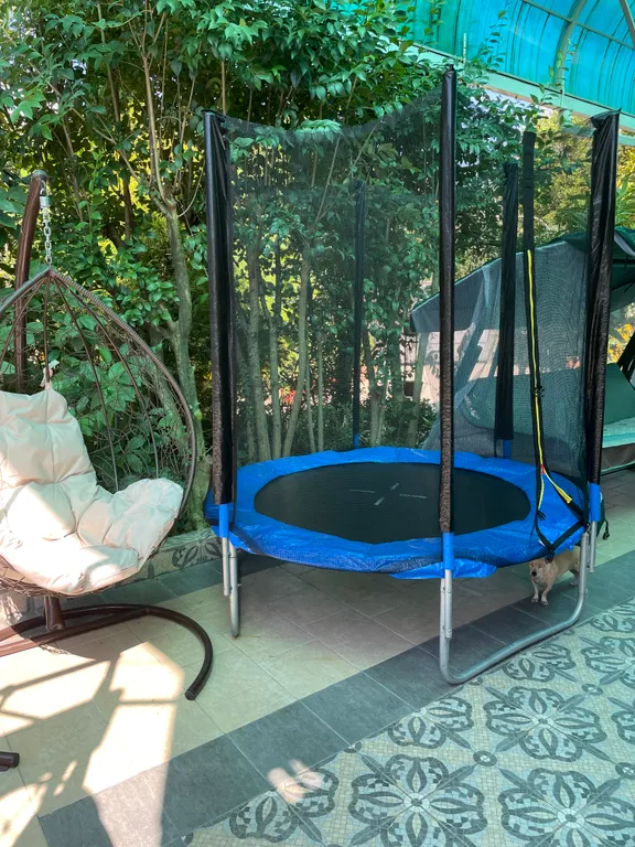 Уютный домик у красавца-эвкалипта