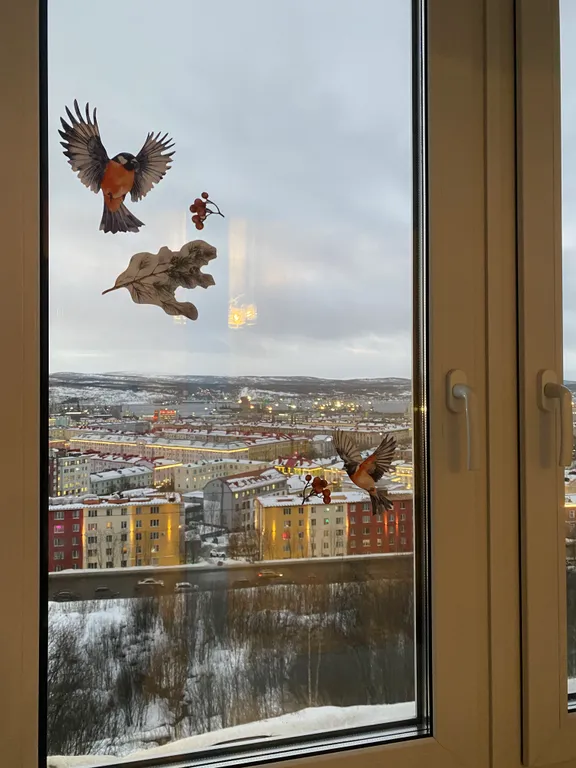 Уютная квартира почти в центре города с потрясающим видом на залив