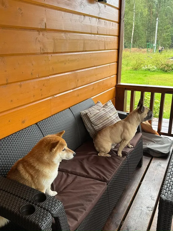 Дом на берегу