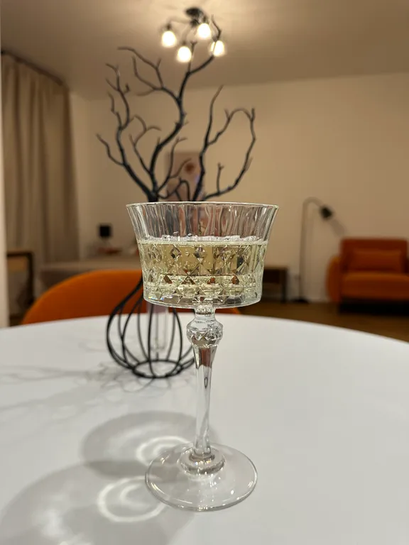 Светлая студия с панорамой центра