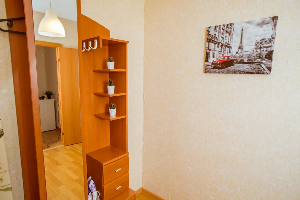 Уютная однокомнатная квартира на Парнасе