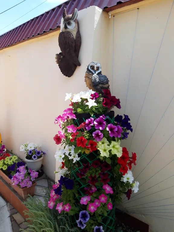 Комфортабельные апартаменты