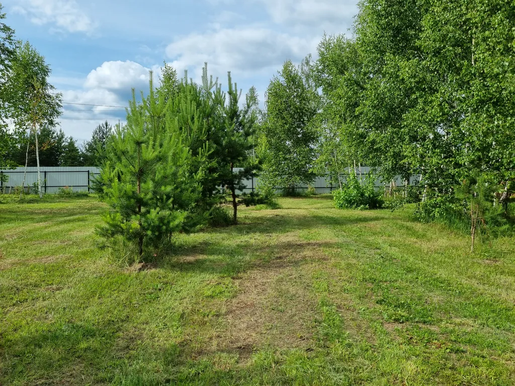 Дом с видом на лес дача лесника